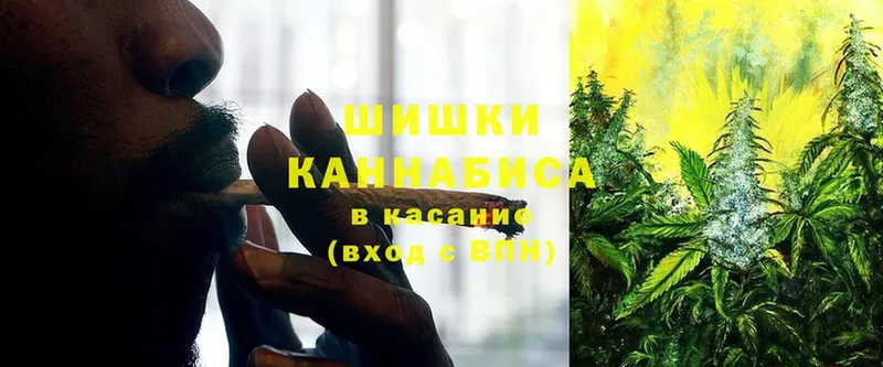 как найти наркотики  Баймак  Бошки марихуана SATIVA & INDICA 